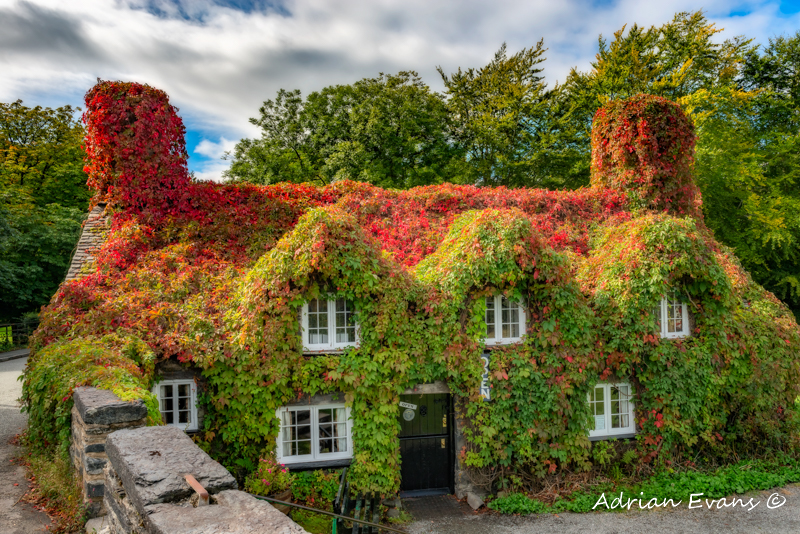 Autumn Tea House